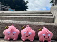 -石炮台公园