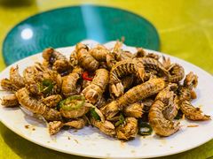 椒盐濑尿虾-盛港湾海鲜食府(黄沙店)