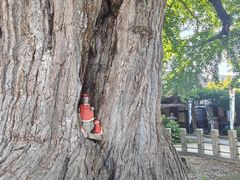 -医王山·飞騨国分寺