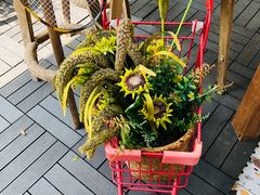 -Cafe In Little Forest