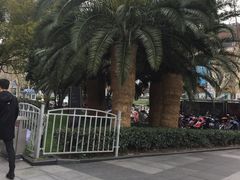 -证大大拇指广场(芳甸路店)