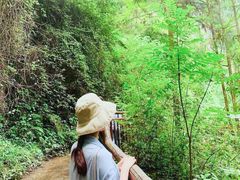 -龙水峡地缝景区