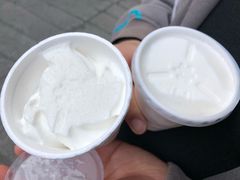 椰子雪糕-洪馨椰子