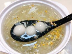 桂花酒酿小圆子-南八仙·老上海味道(南京东路店)
