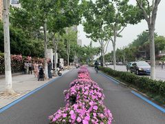 -汉口江滩-五福广场