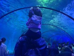 -泉城欧乐堡海洋极地世界