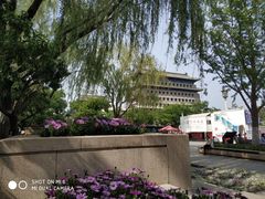 -麦梗手擀面水饺(麦梗前门店)