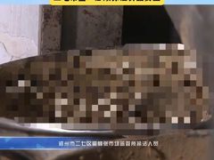 -逍遥镇刘相五胡辣汤豆沫馆(康复中街店)