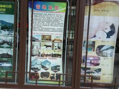 -青峰峡国家森林公园