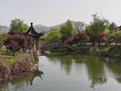 -石塘人家