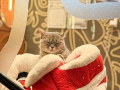 -野人部落(中街店)