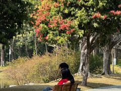 -东莞植物园