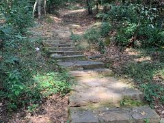 -岳麓山风景名胜区