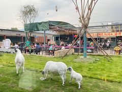 -阳坊胜利涮羊肉(阳坊老店)