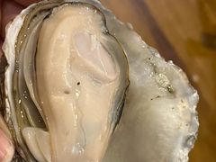 -土蚝·高压锅生蚝(百姓美食街店)