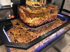 帝王蟹-蟹道乐(道顿堀本店)