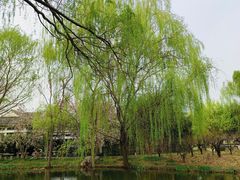 -郑州植物园