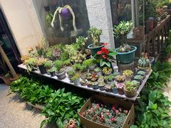 -双季花艺园艺市场(浦东店)
