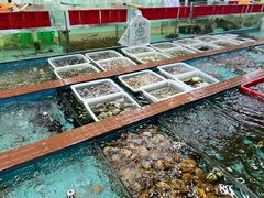 水产区-景好海鲜餐厅(大鹏必选旅游店)