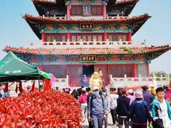 -曹州牡丹园
