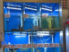 -华峰食馆(氹仔店)