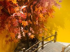 -作幺探案馆·剧本杀实景搜证