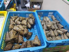 -召稼楼永茂昌粽子大王