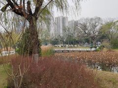 -渭滨公园