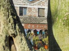 -猫的天空之城概念书店(苏州平江店)