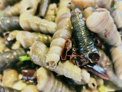 -旺角小渔村·海肠捞饭开创者(环山路店)