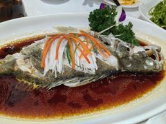 -小贝壳酒楼(经九路店)
