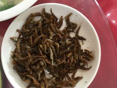 -黄牛肉馆·皖南土菜