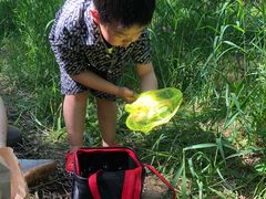 -碓臼峪自然风景区