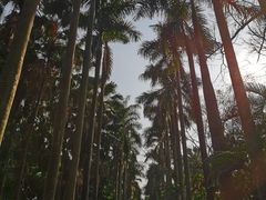 -华南国家植物园-售票处