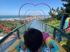 -西霞口神雕山野生动物世界