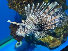 -海合安武汉极地海洋公园