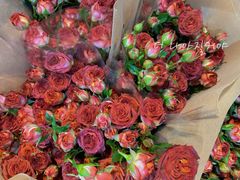 -循礼门鲜花花市(武汉循礼门店)