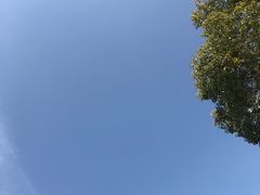 -茶与花间(太平洋森活天地店)