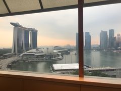 -新加坡丽思卡尔顿美年酒店