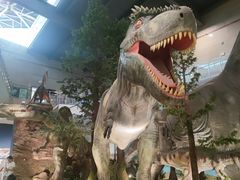 -湖南省地质博物馆