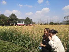 -洪湖家庭农场·团建·露营·会议