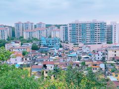 -顺峰山公园