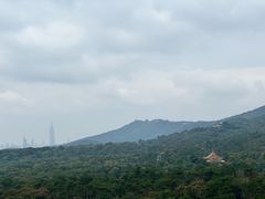 -灵谷景区