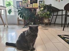 -Rabbit Cafe私房西餐甜点咖啡(栖霞路店)