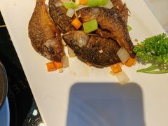 -大雄九老菜馆(南门桥店)