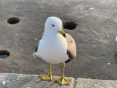 -星海广场