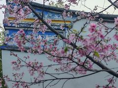 -乌山风景区