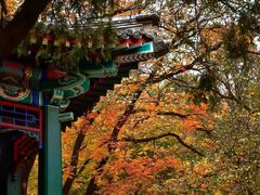 -香山公园