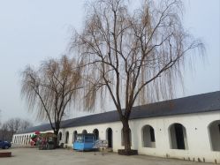 -优沃得自然教育农场·冰雪乐园·生日会·研学
