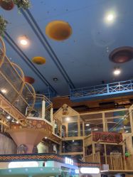 -卡通尼·Safari非洲探索乐园·生日会(金桥国际商业广场店)